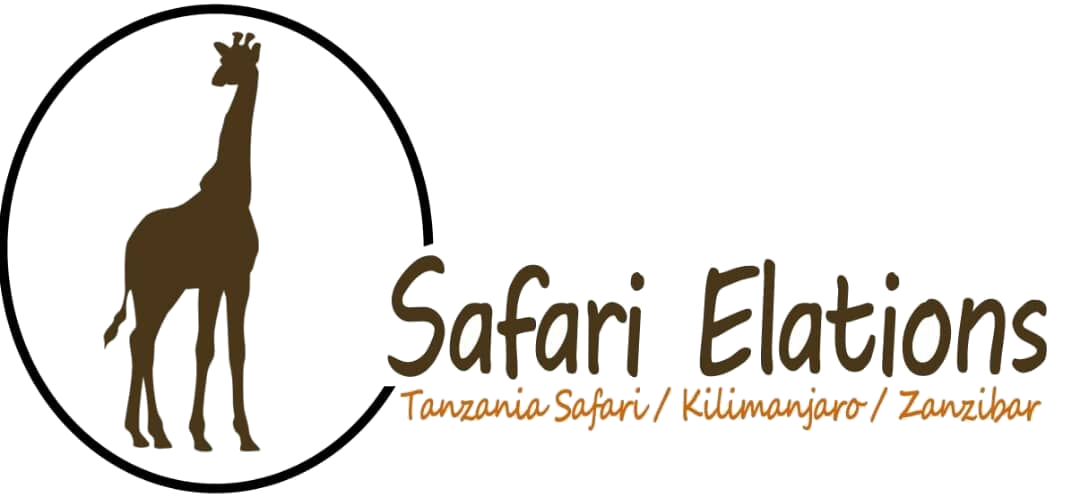 safari elation logo