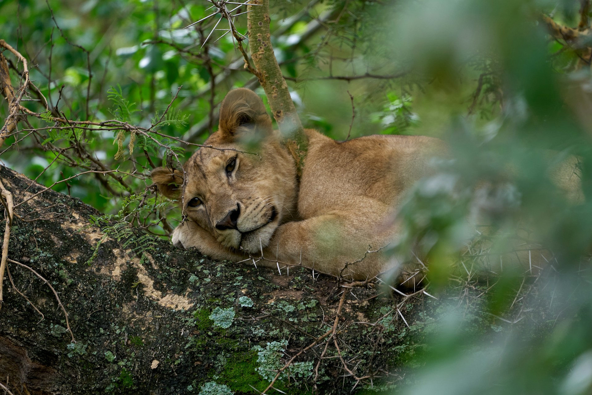 lakemanyara10