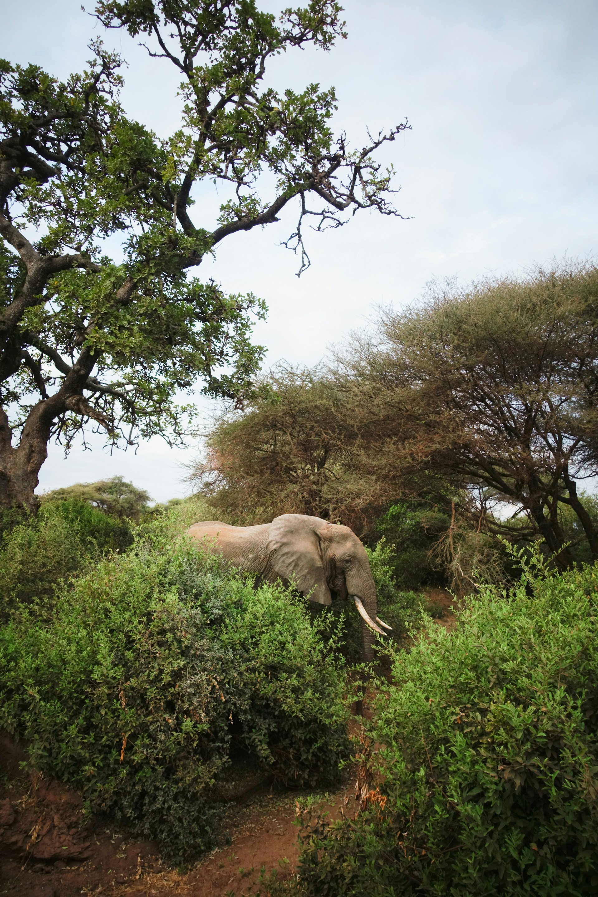 lakemanyara2