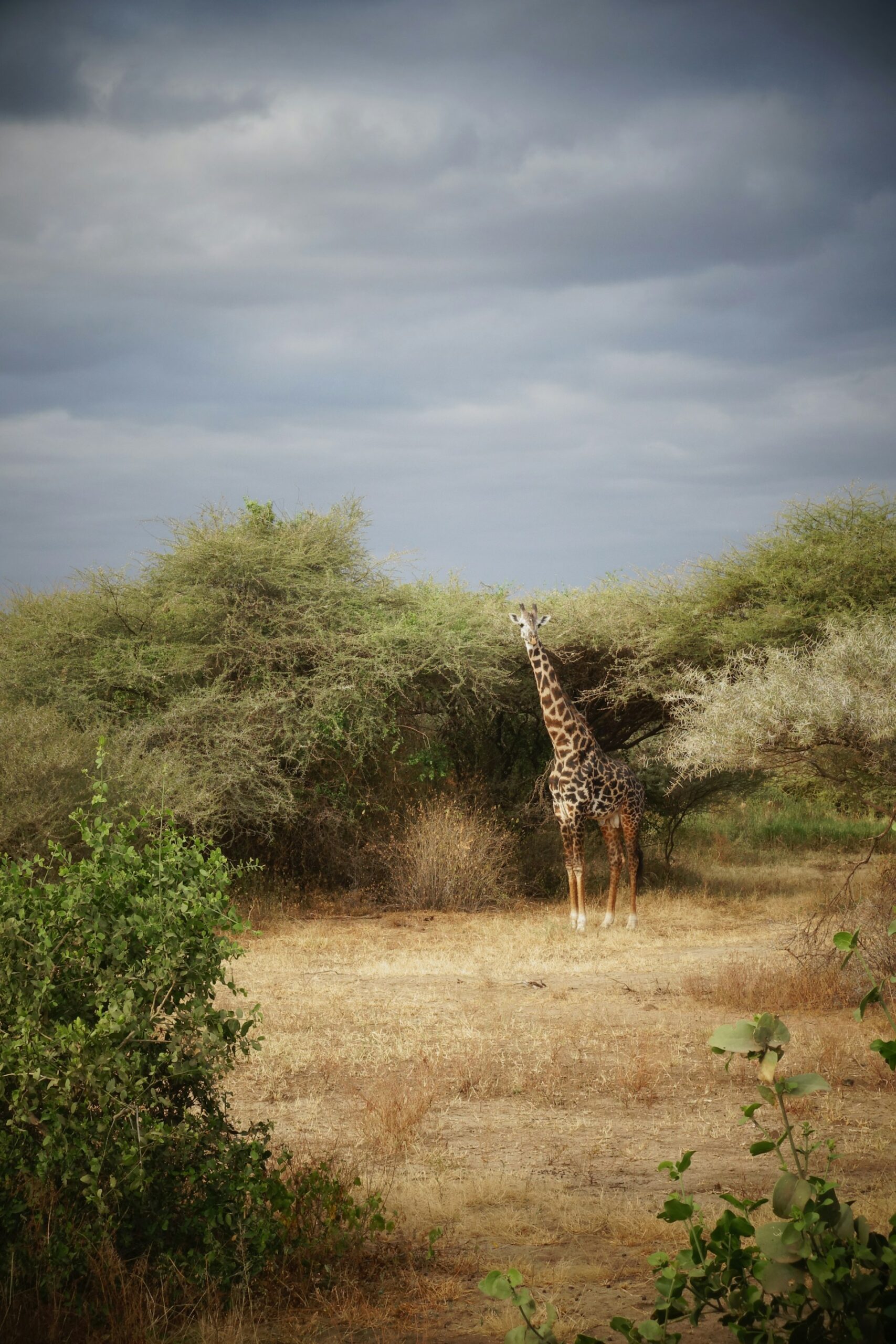 lakemanyara3