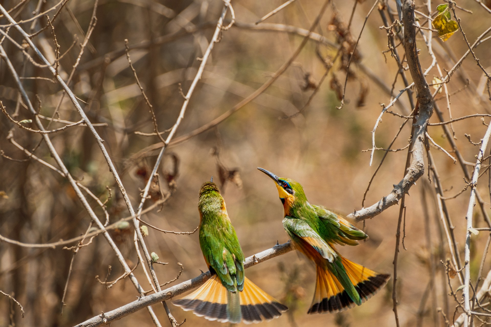 lakemanyara4