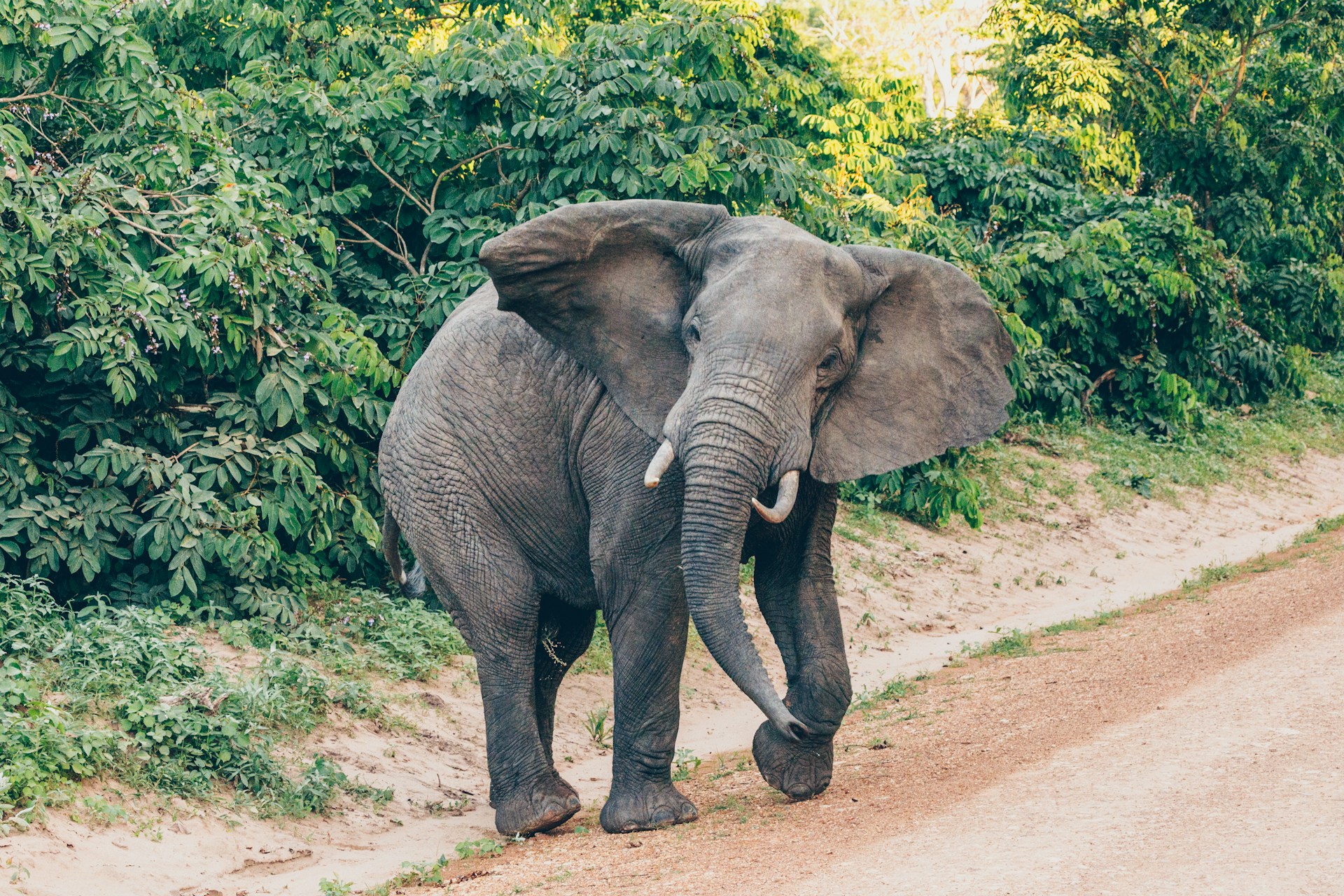 lakemanyara6