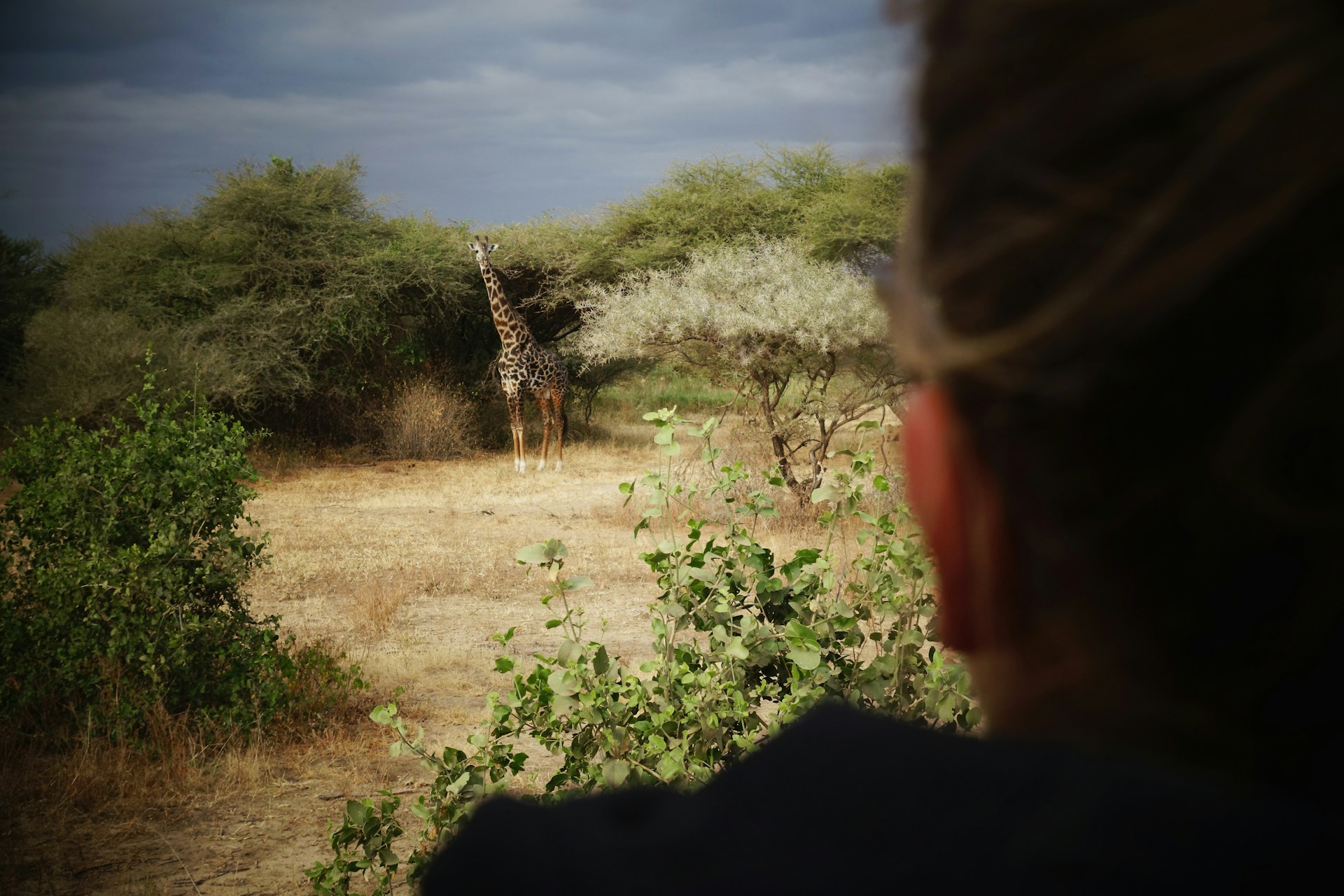 lakemanyara7