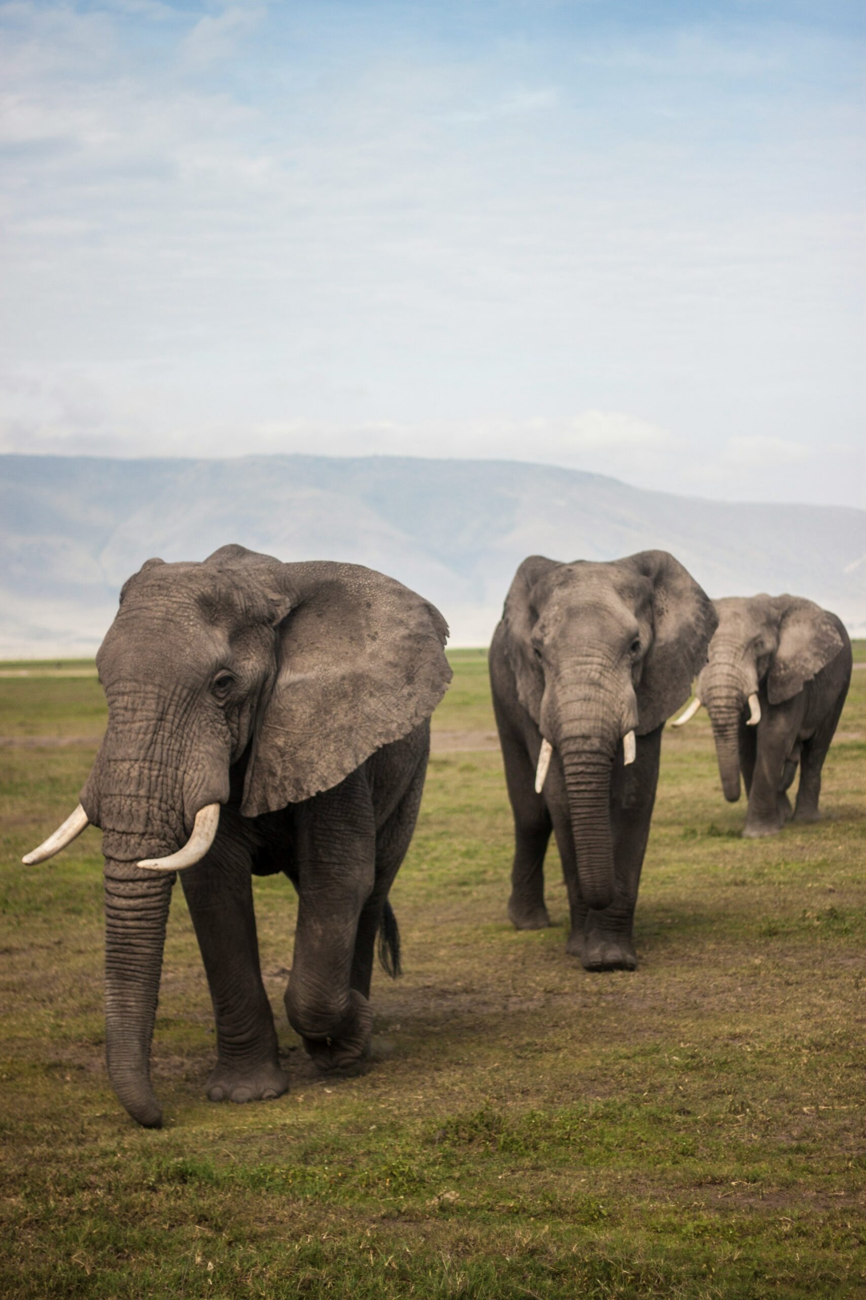 ngorongoro3